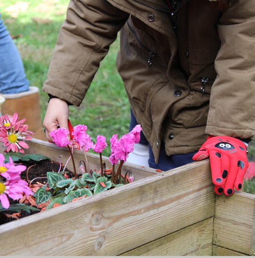 Les ateliers jardinage à la Maison des 5 Sens : un jour de fête !