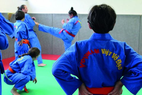 Vovinam Viet Vo Dao